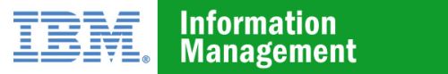 IBM Information Management Software