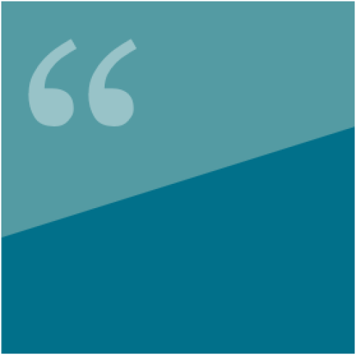 Customer reviews