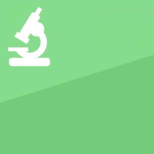Datenbank-Optimierung - nur das Beste