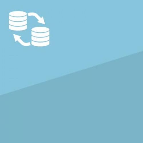 IBM Infosphere Data Replication - hochperformant